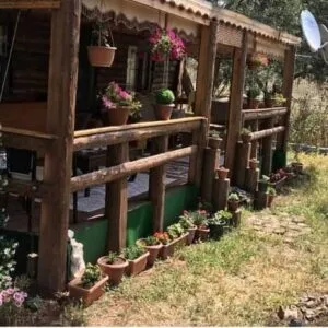 Önünde veranda ve çiçek saksılar ile döşenmiş "ağaç ev"