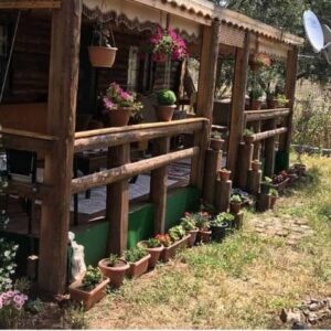 Önünde veranda ve çiçek saksılar ile döşenmiş "ağaç ev"