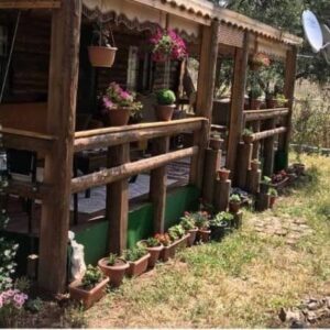 Önünde veranda ve çiçek saksılar ile döşenmiş "ağaç ev"