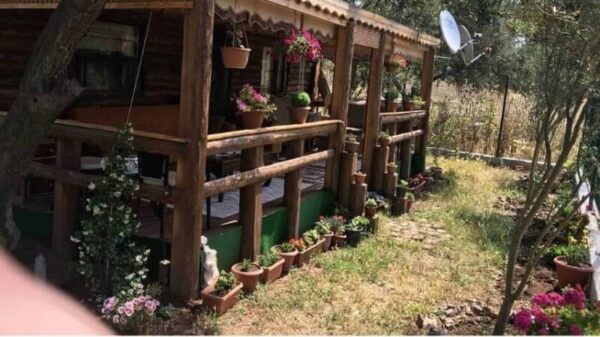 Önünde veranda ve çiçek saksılar ile döşenmiş "ağaç ev"