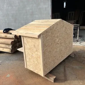 Kedi Evi Yan Görsel