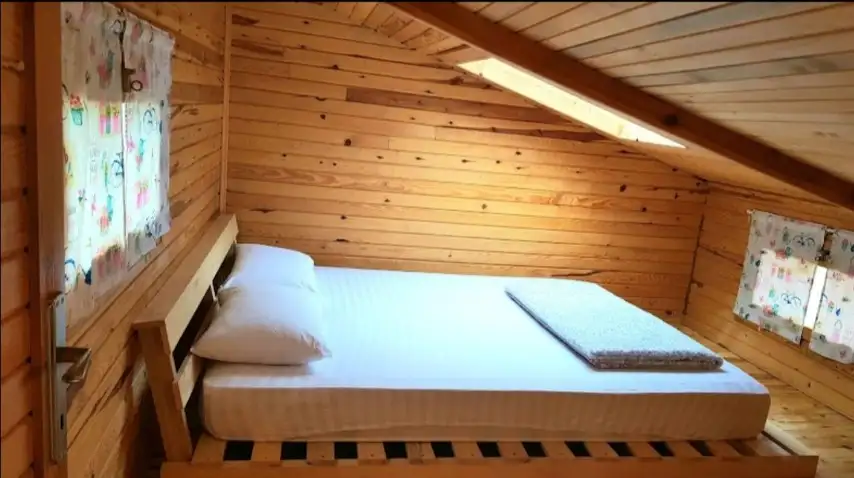 loft kat görsel