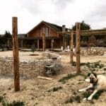 Tomruk ev uzak çekim