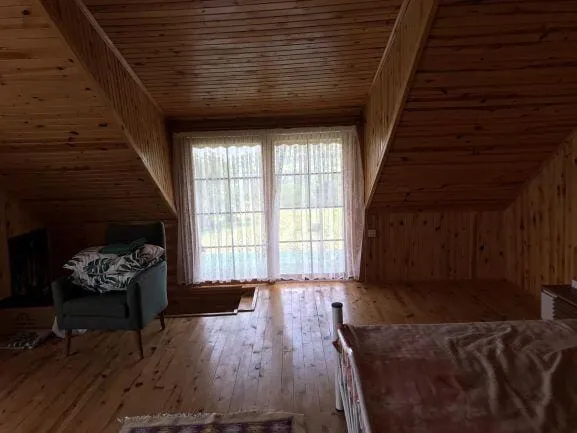 Loft kat
