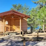 Ahşap eve güneşin vuruşu yeşil orman içinde bir dağ evi