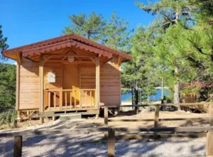 Ahşap eve güneşin vuruşu yeşil orman içinde bir dağ evi