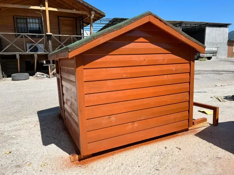 Verandalı Köpek Kulübesi - Görsel 2