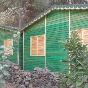 Doğanın içinde yeşil yalıbaskı ile yapılan ahşap kepenkli ahşap evler