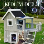 İki Katlı Kedi Evi - Görsel 3