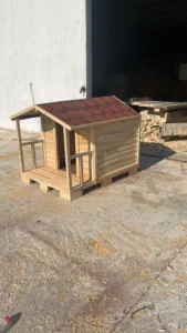 Verandalı Lüks Ahşap Köpek Kulübesi - Görsel 4