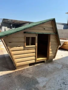 Köpek Kulübesi - Görsel 4